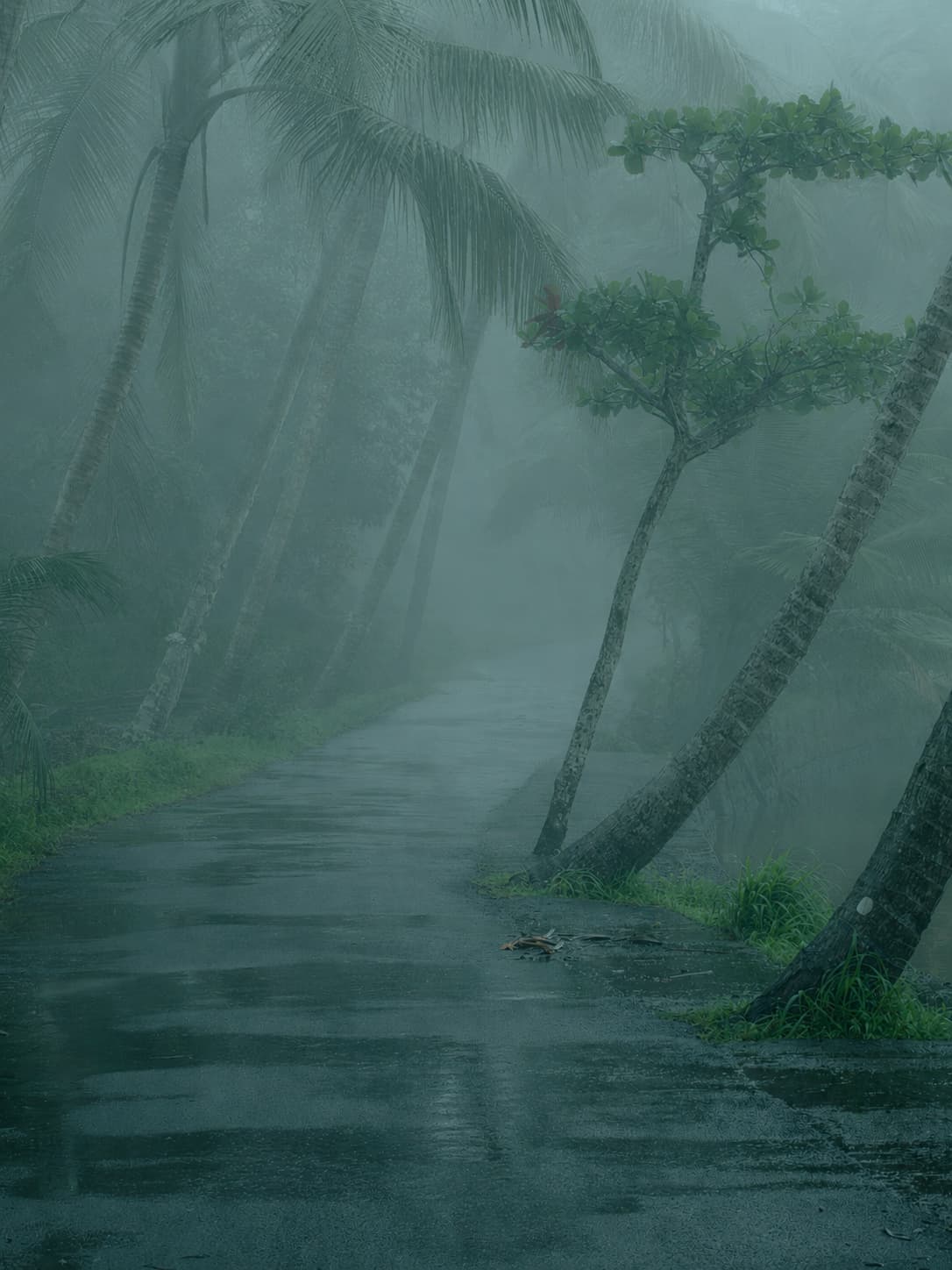 Foggy Prompt