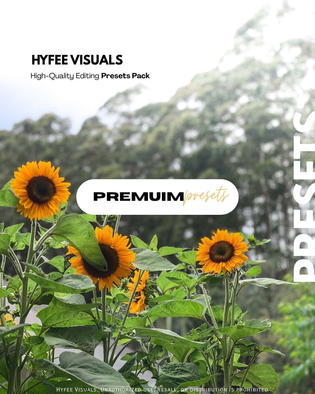 HYFEE Exclusive